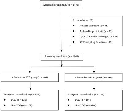 Subjective cognitive decline may mediate the occurrence of postoperative delirium by P-tau undergoing total hip replacement: The PNDABLE study